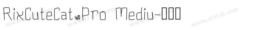 RixCuteCat_Pro Mediu字体转换